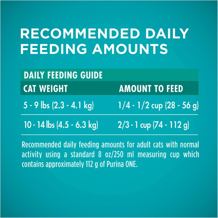 Purina ONE Sensitive Systems Dry Cat Food – Pongo Pet