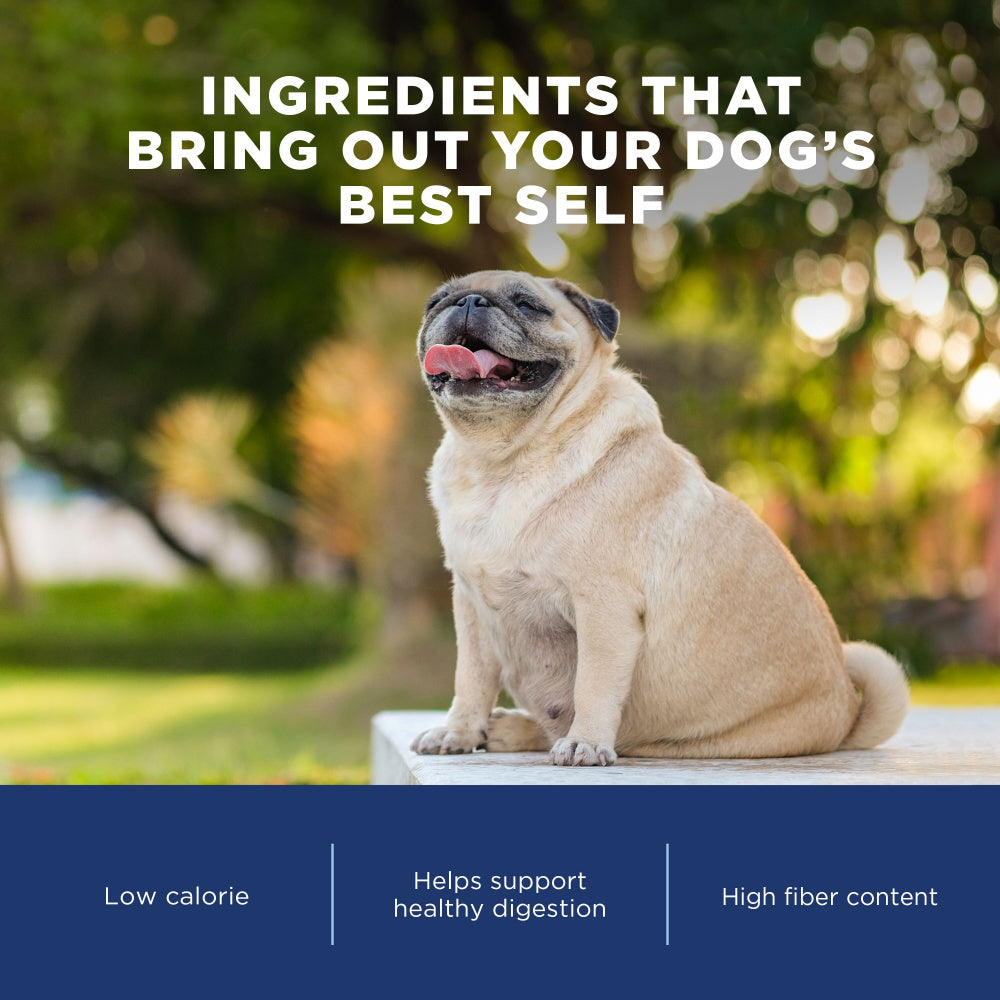 Natural Balance Targeted Nutrition Fat Dogs Recipe Dry Dog Food