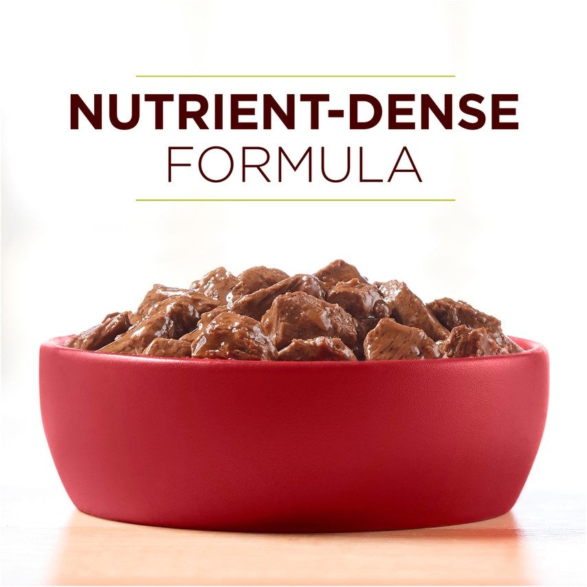 Purina ONE SmartBlend True Instinct Grain Free Chicken Duck Tender Cuts  in Gravy Canned Dog Food