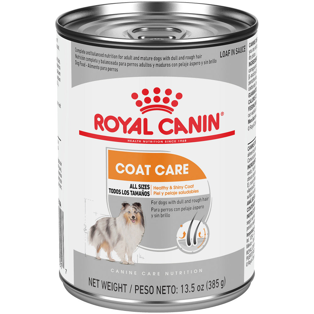 Royal Canin Coat Care Loaf in Sauce Canned Dog Food  Pongo Pet