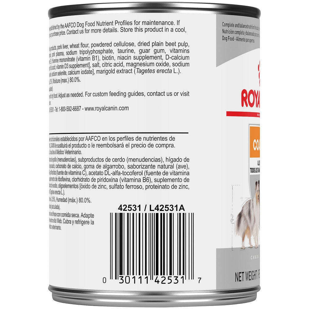 Royal Canin Coat Care Loaf in Sauce Canned Dog Food – Pongo Pet