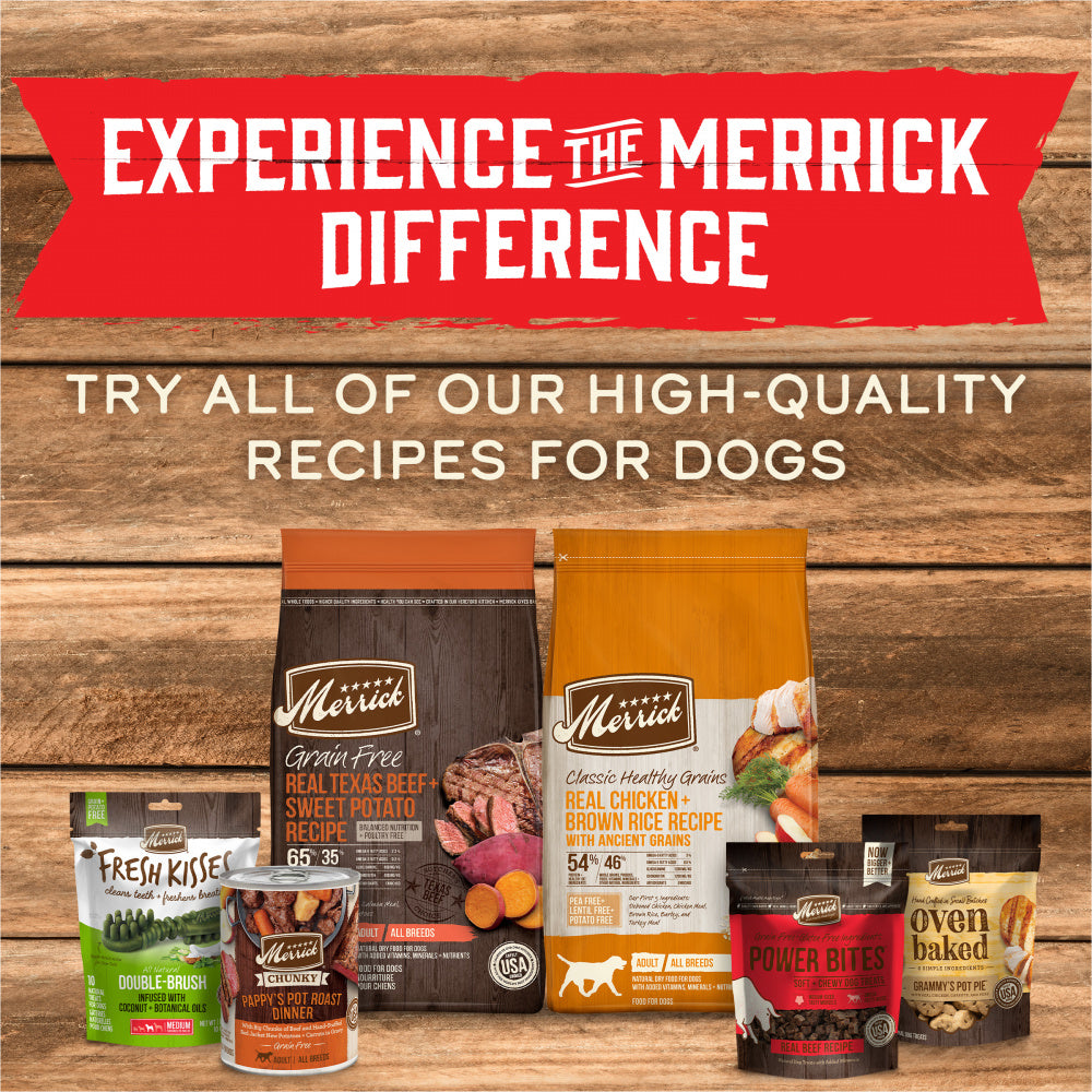 beef recipe merrick grain free canned dog food Merrick Wet Dog Food Slow-Cooked BBQ Texas Style with Braised Beef