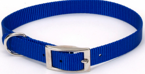 Coastal Pet Products Standard Nylon Medium Dog Collar