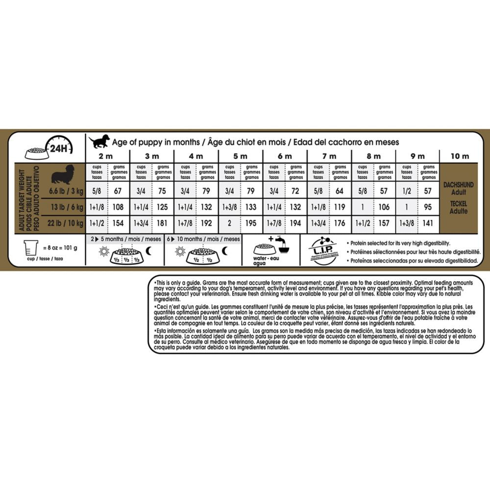 Royal Canin Breed Health Nutrition Dachshund Puppy Dry Dog Food – Pongo Pet