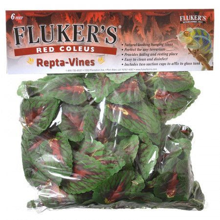 fluker's repta vines pothos for reptiles and amphibians Fluker's Repta Vines Red Coleus