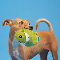 BARK Consuela the Cactus Dog Toy – Pongo Pet