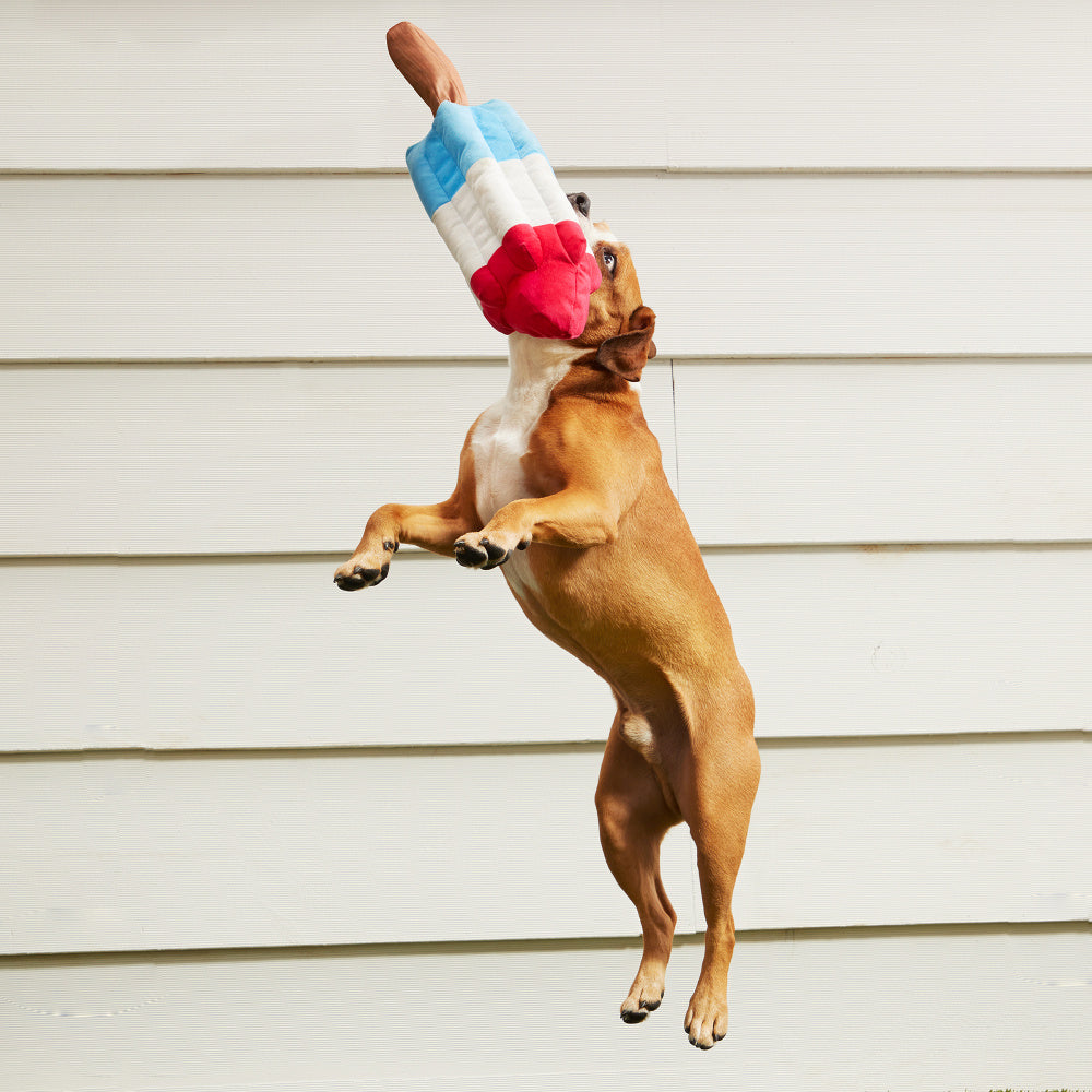 BARK Rocket Pupsicle Dog Toy – Pongo Pet